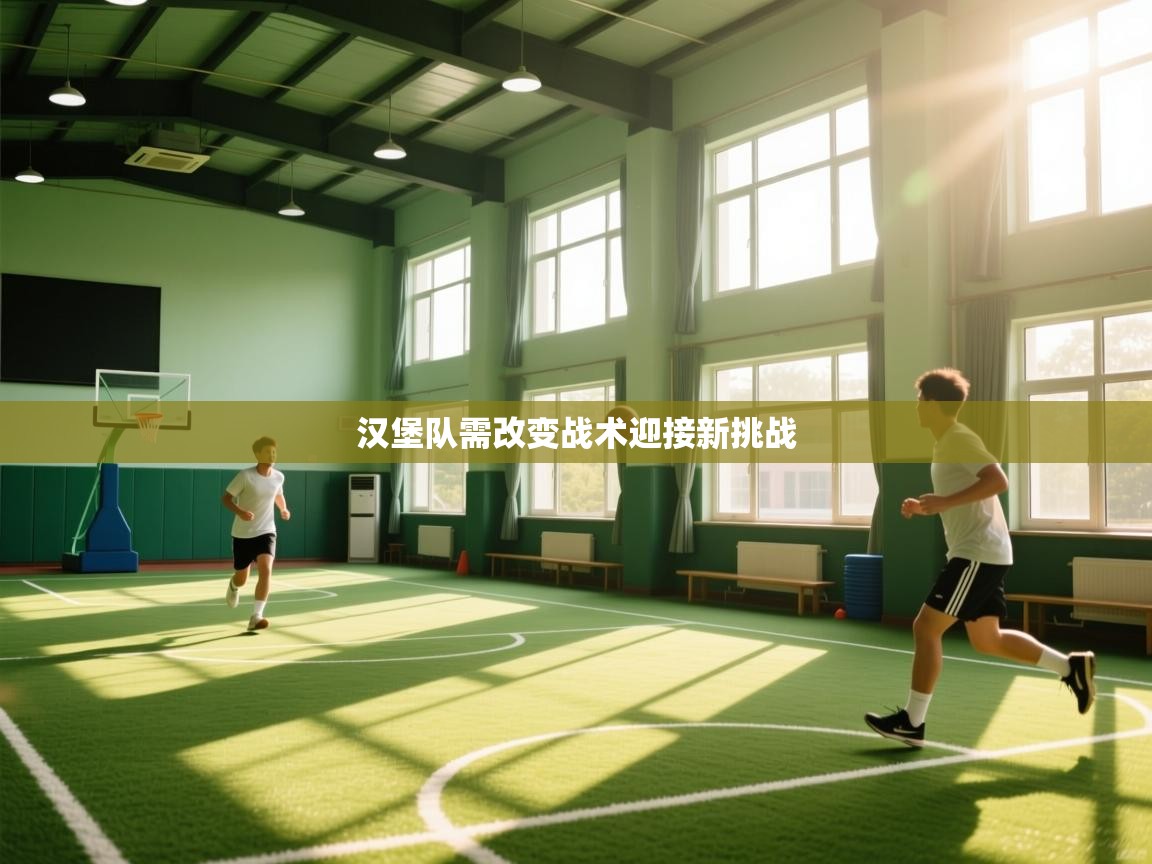 汉堡队需改变战术迎接新挑战  第2张