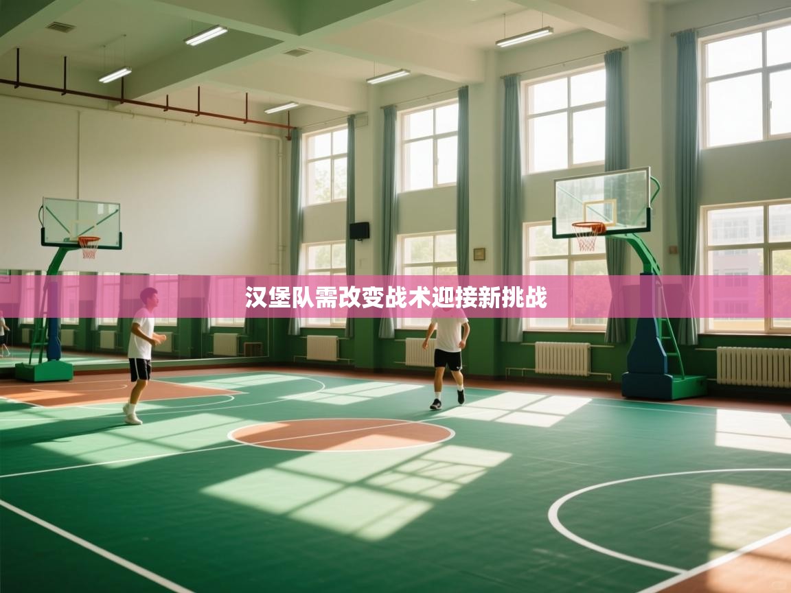 汉堡队需改变战术迎接新挑战  第1张