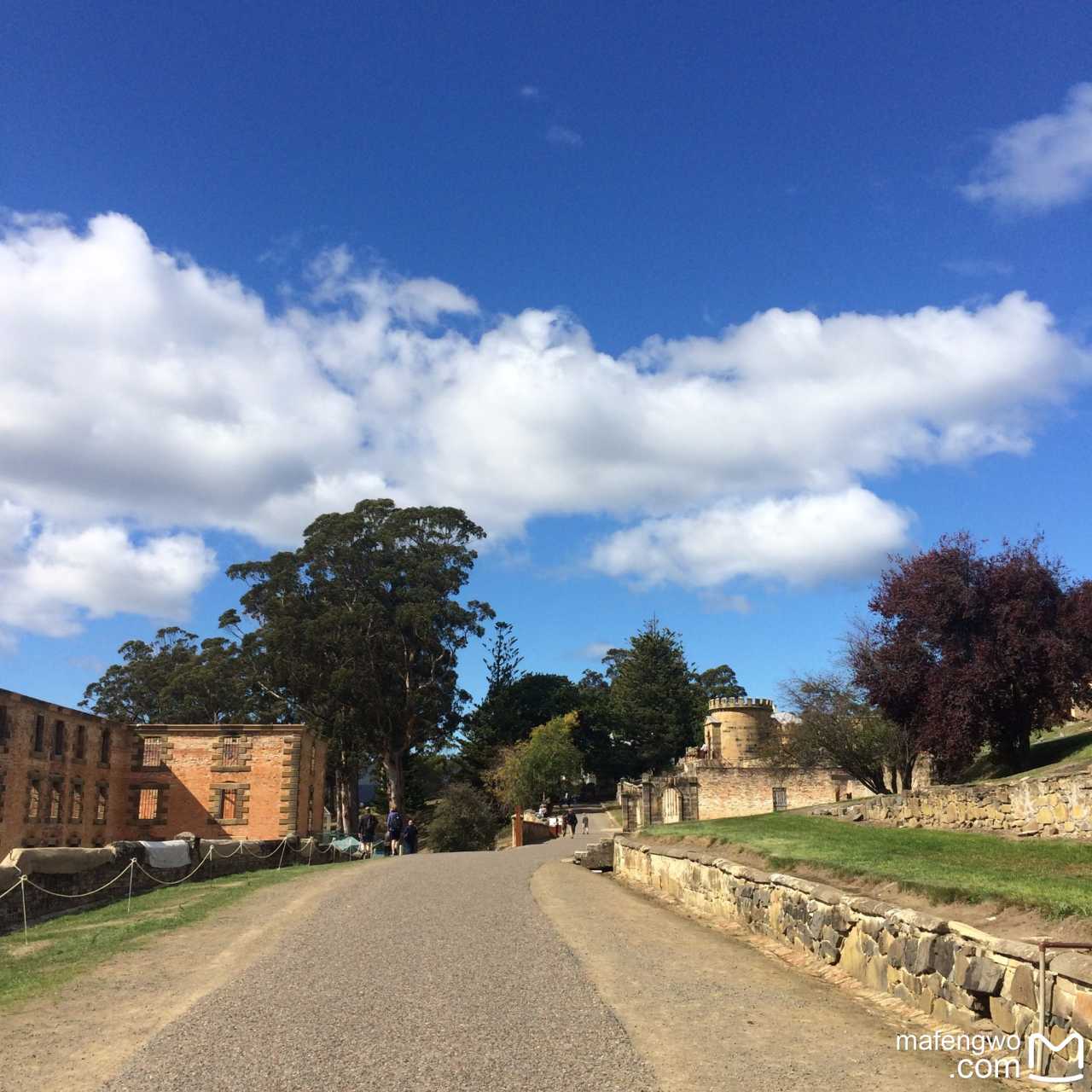 关于塔斯马尼亚联主帅强调团队配合，迎战欧洲劲旅的信息