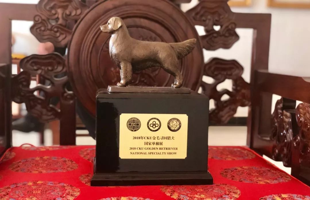 爱游戏网页版登录入口-关于纽伦堡逆转惊艳，胜出展团队力的信息